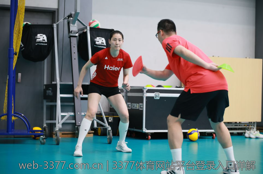 3377体育网站平台登录入口详解